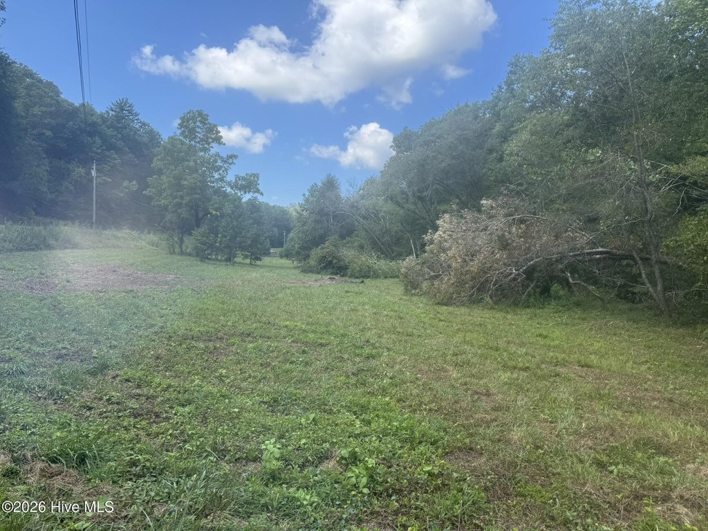 Picture 21