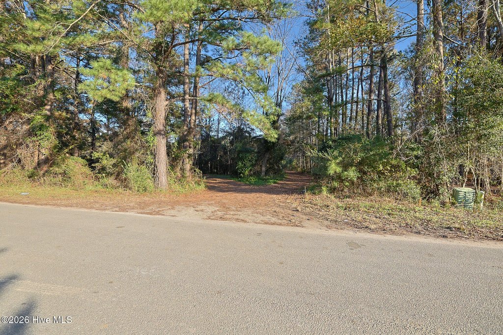 Picture 6