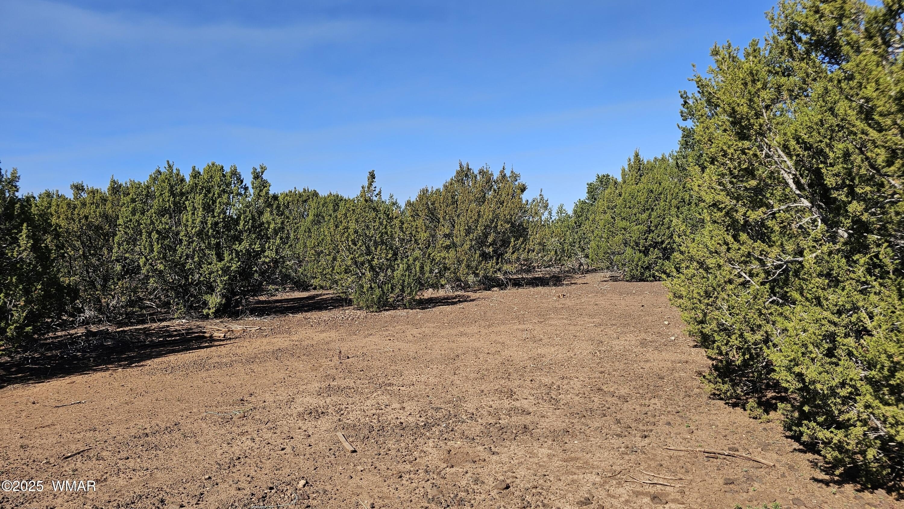 Level Land Parcel in Vernon