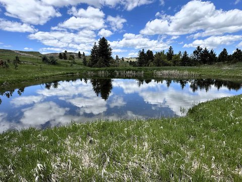 Ranch Tract with Sourdough Creek