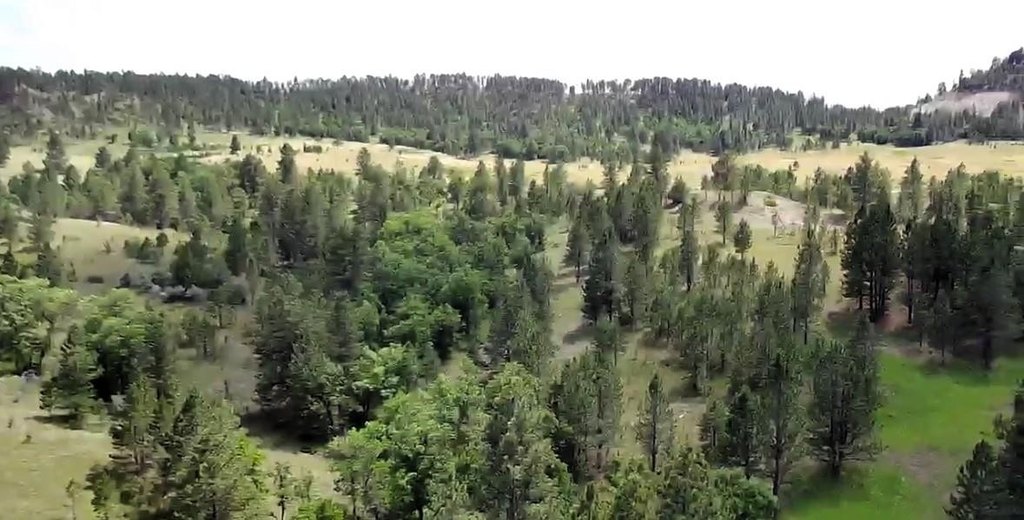 Picture 8