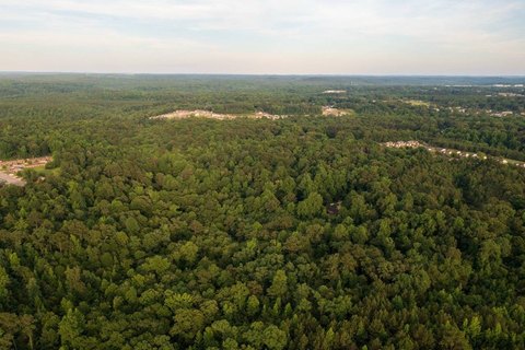 Land, Tuscaloosa, AL