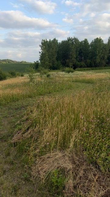 Picture 14
