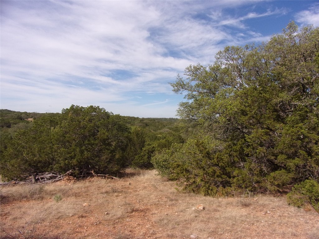 Picture 30