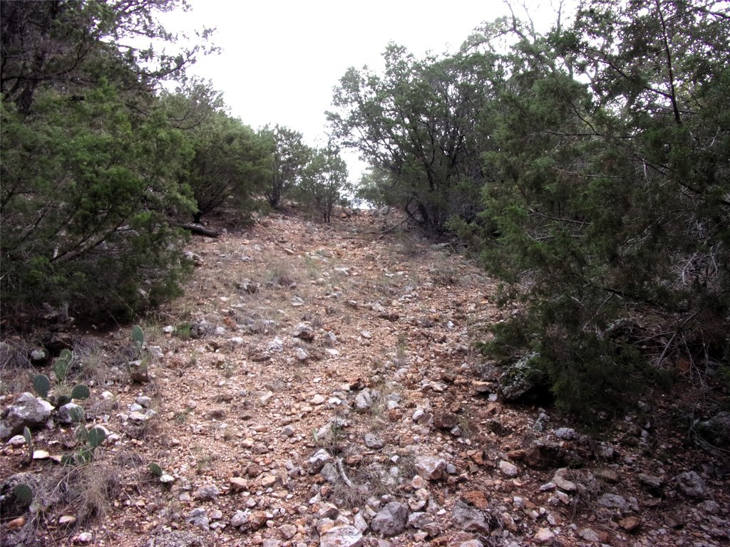Picture 18