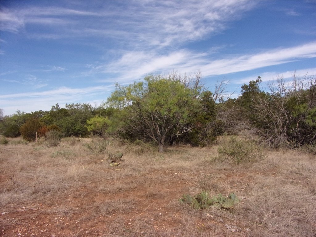 Picture 34