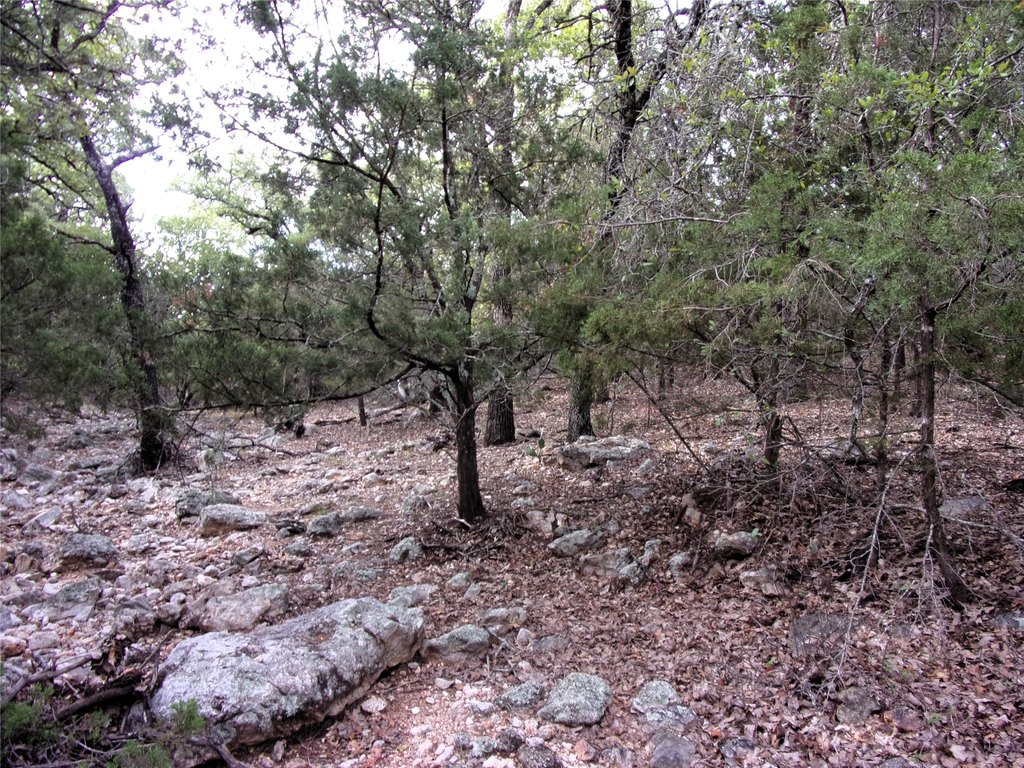 Picture 19