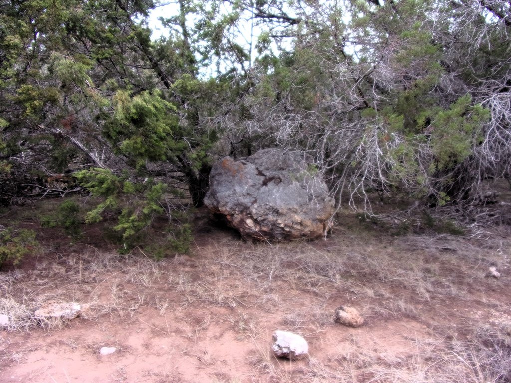 Picture 15