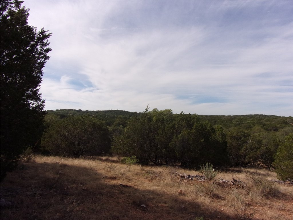 Picture 29
