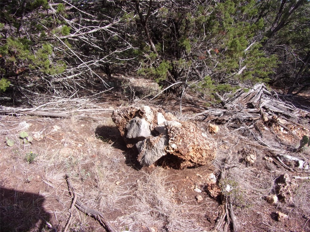 Picture 32