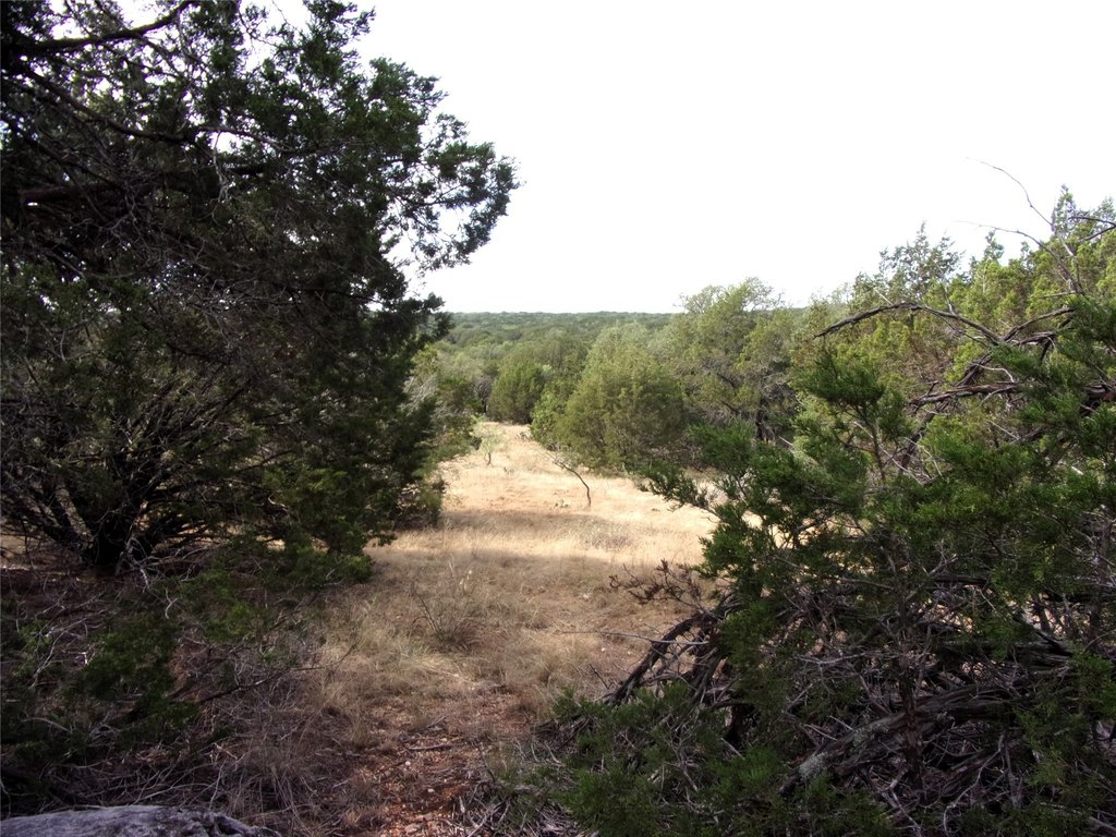 Picture 20