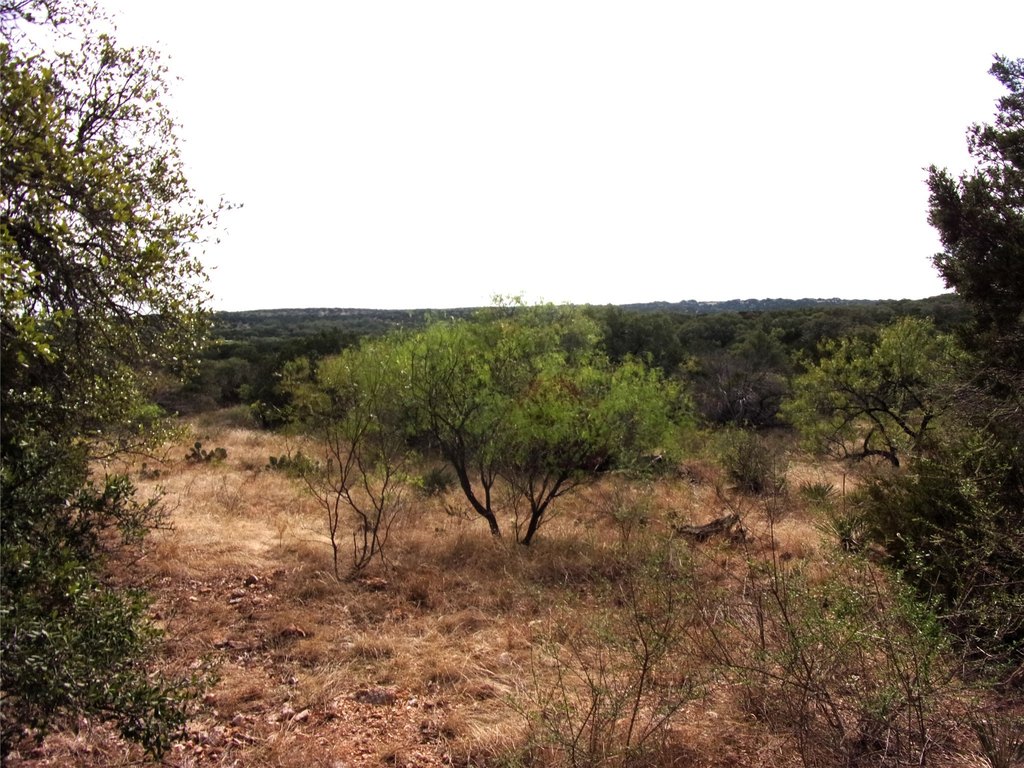 Picture 21