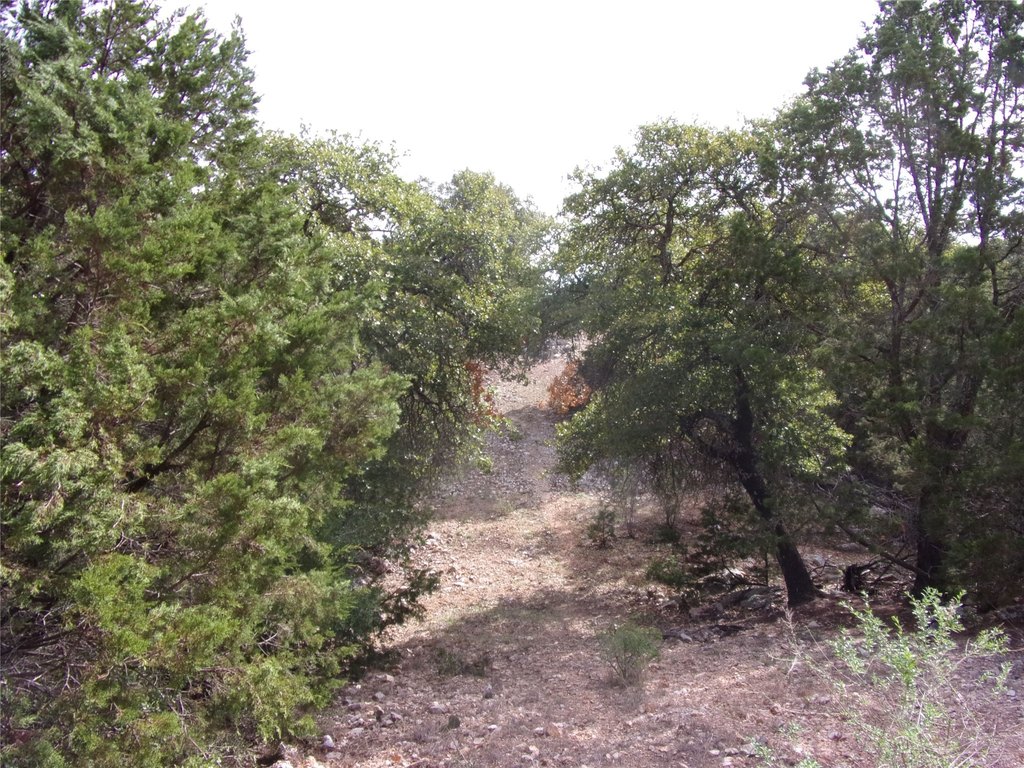Picture 33