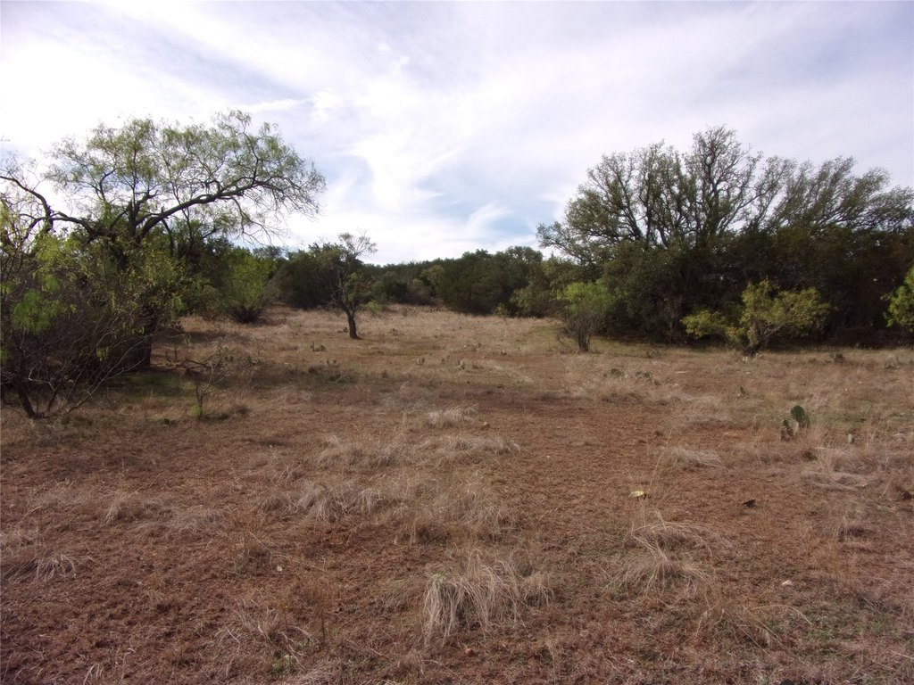 Picture 26