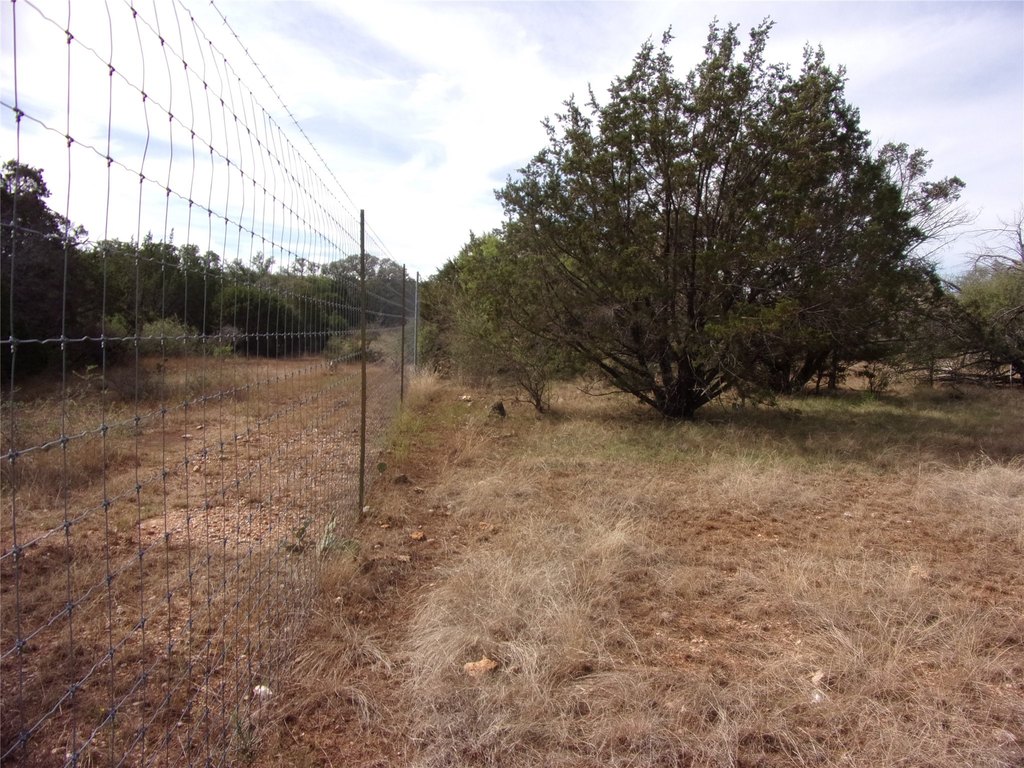 Picture 25