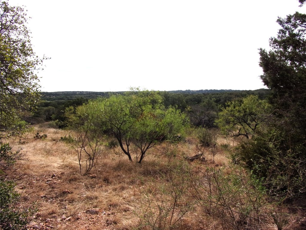 Picture 22