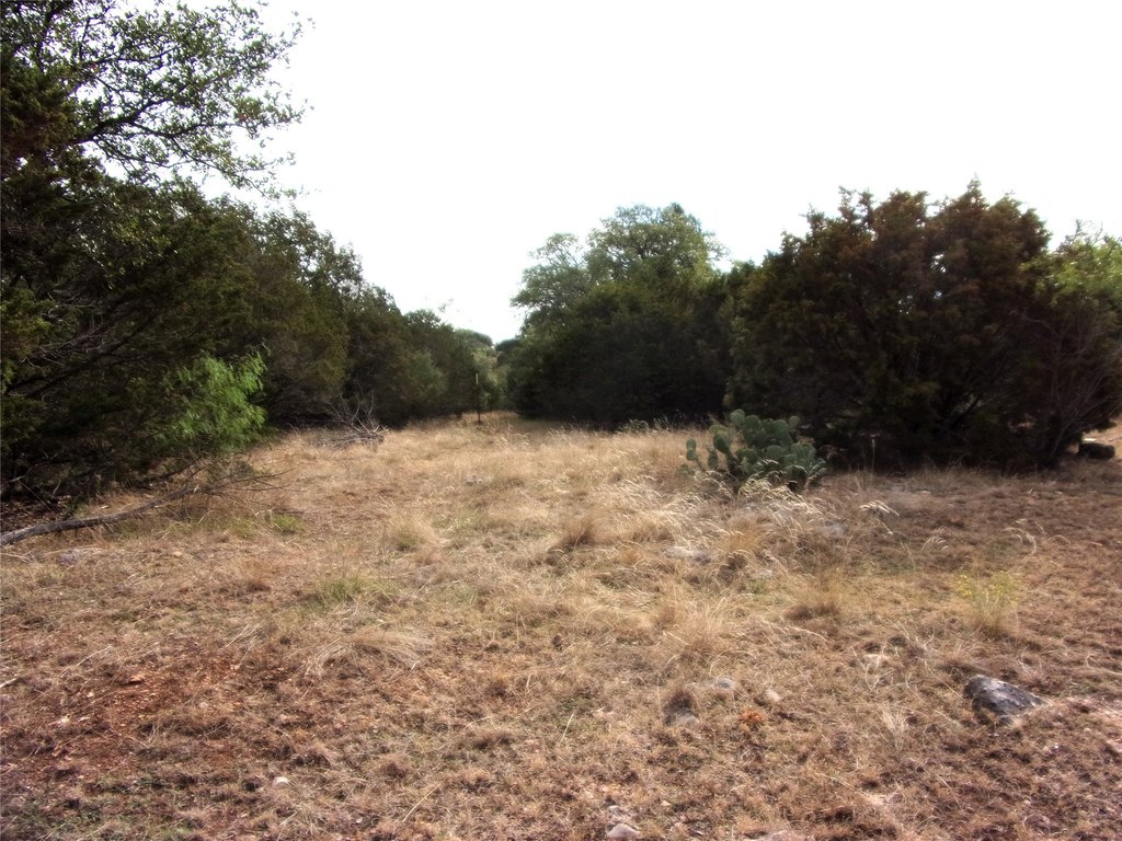 Picture 16