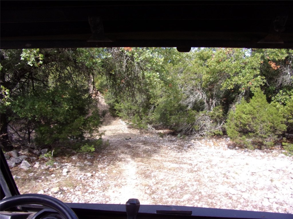 Picture 36