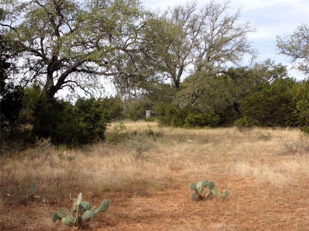 Picture 11