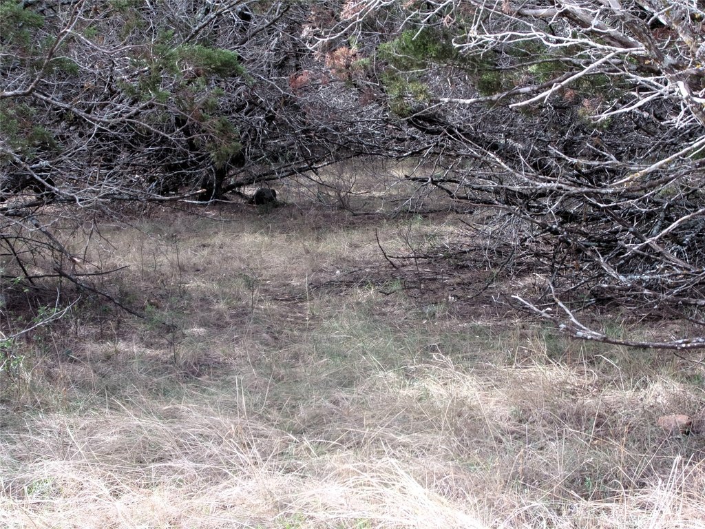Picture 14