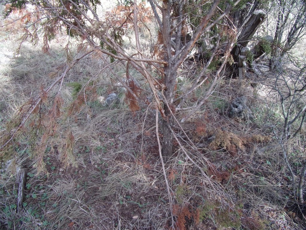 Picture 27