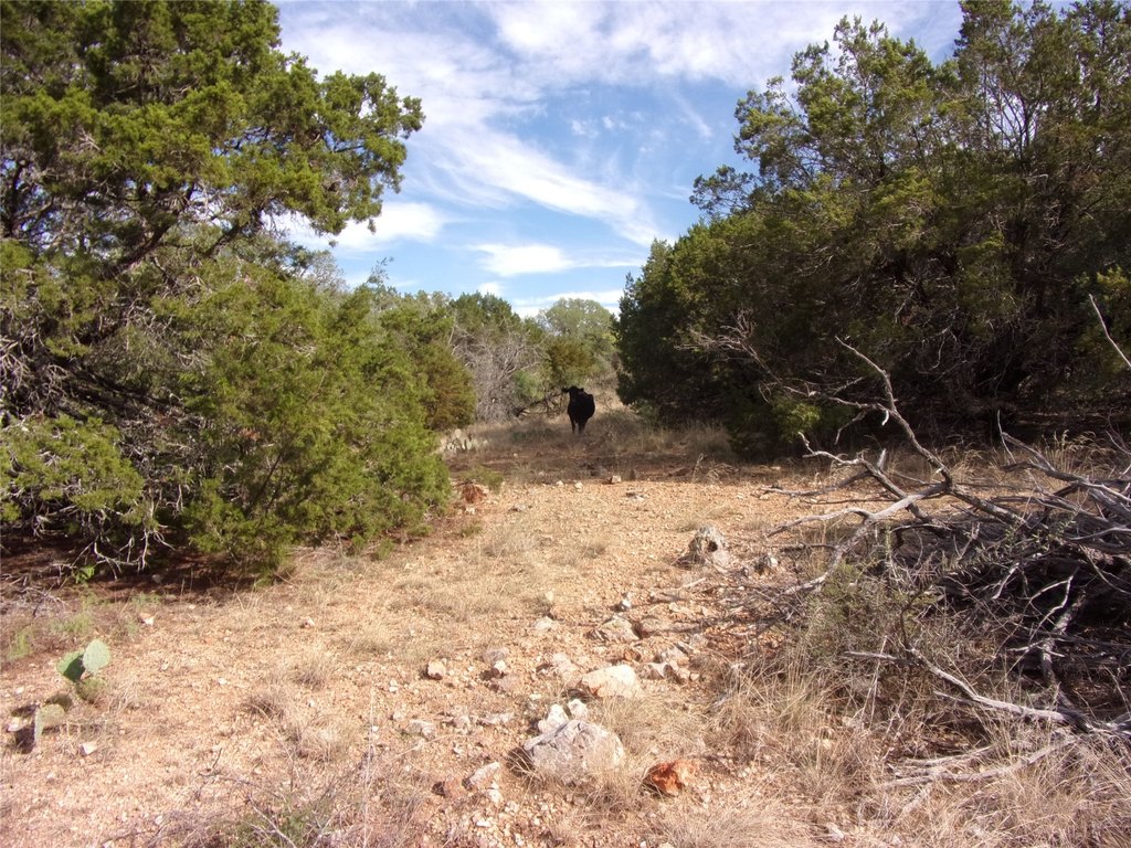 Picture 28