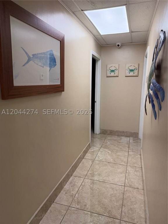 Picture 27