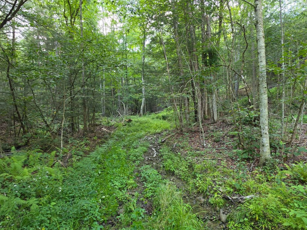 Picture 41