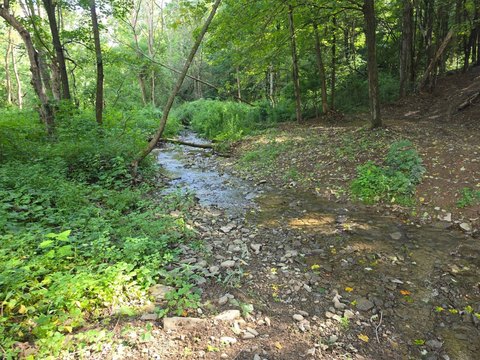 Land, Lapeer, NY