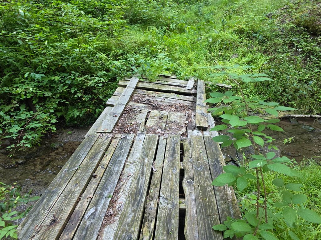 Picture 37