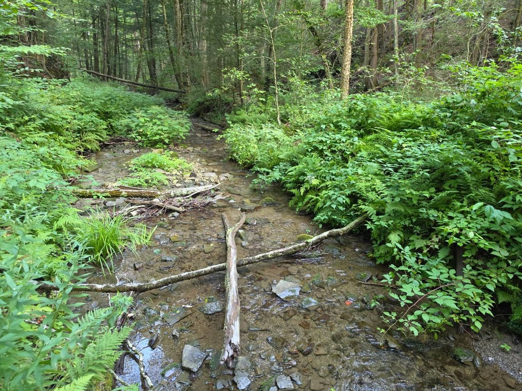 Picture 38