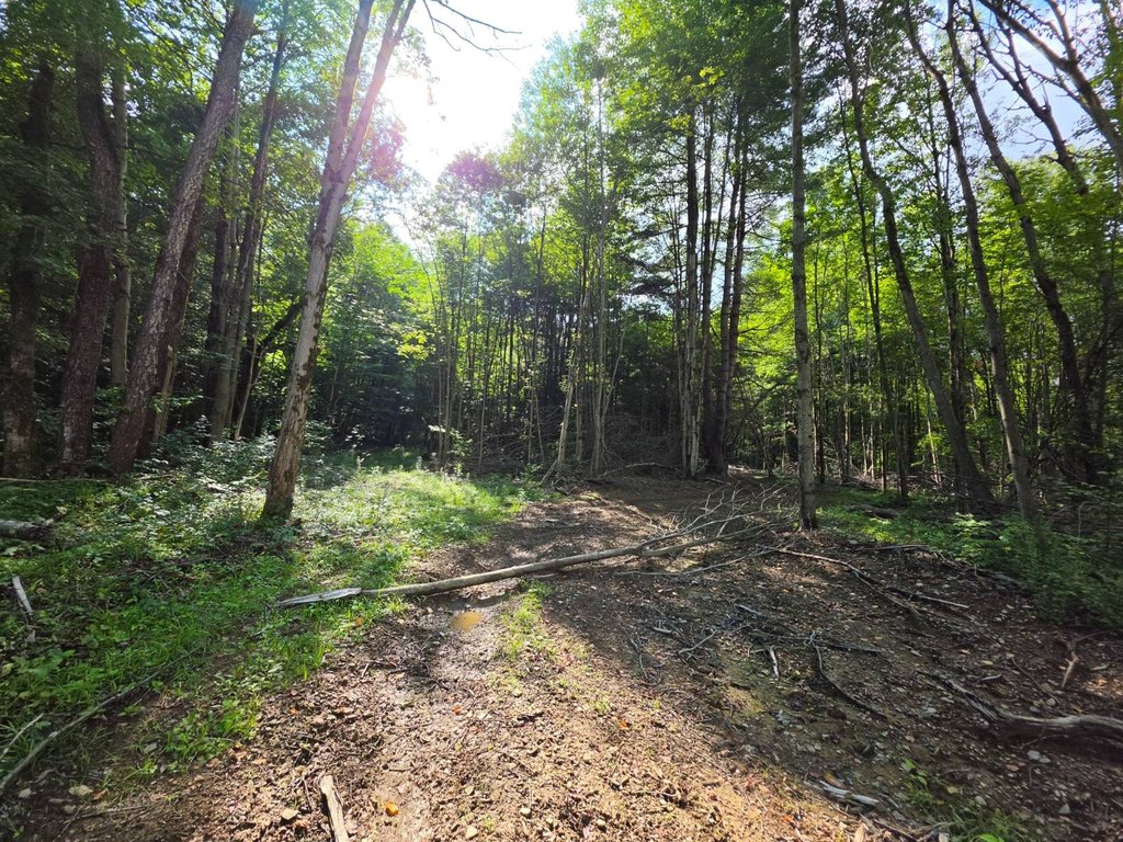 Picture 9