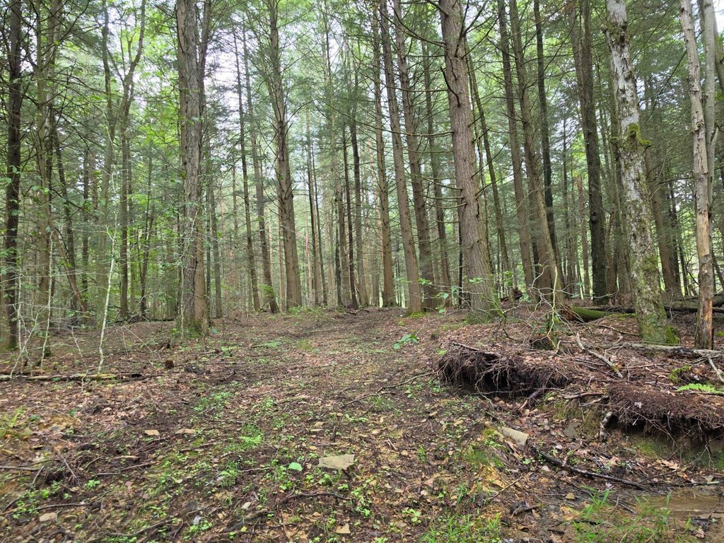 Picture 19