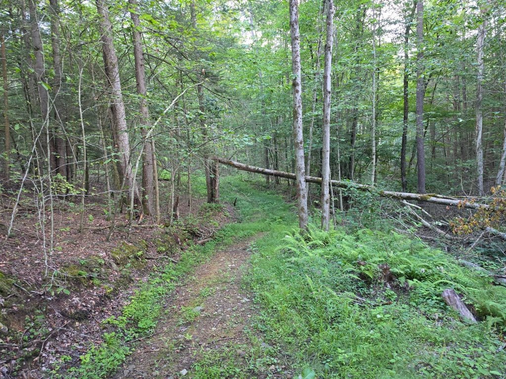 Picture 36