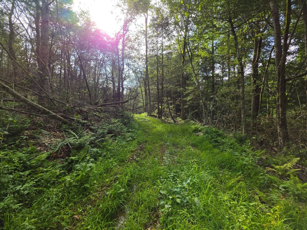 Picture 27