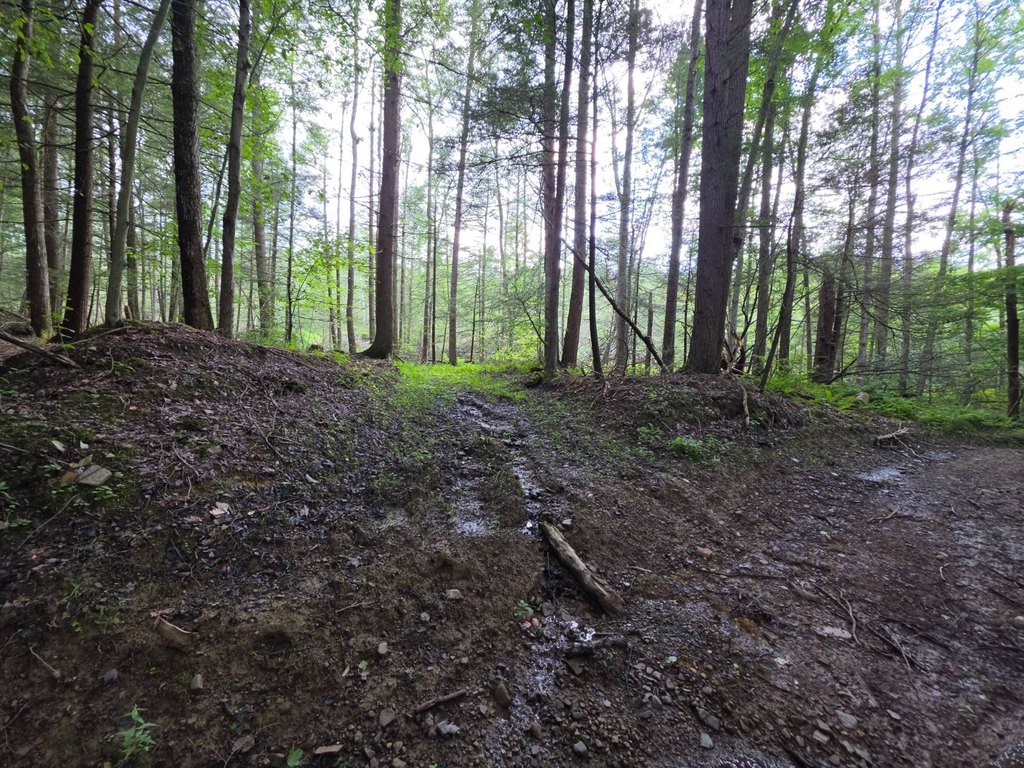 Picture 24