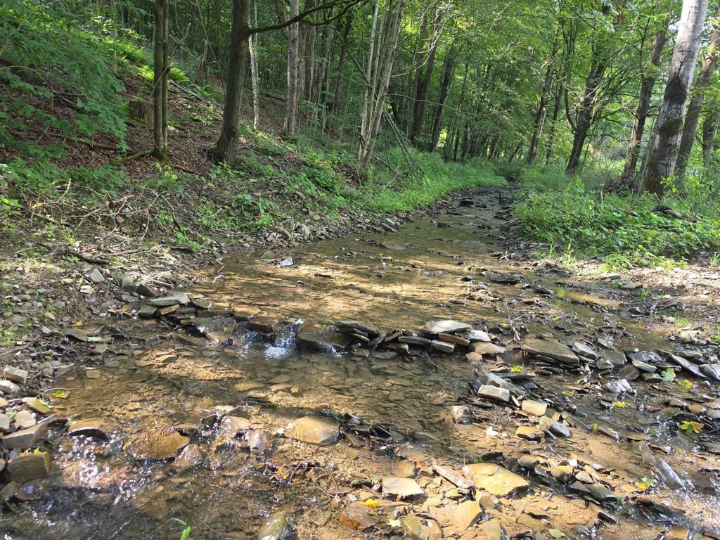 Picture 5