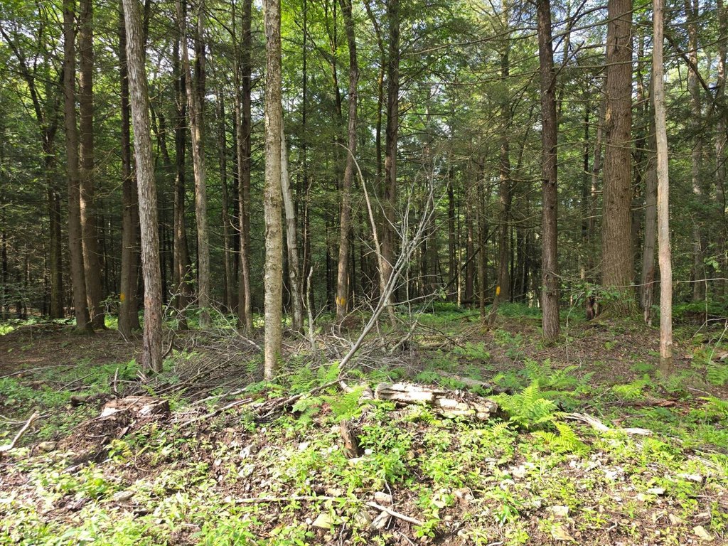 Picture 31