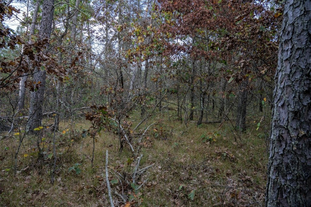 Picture 30
