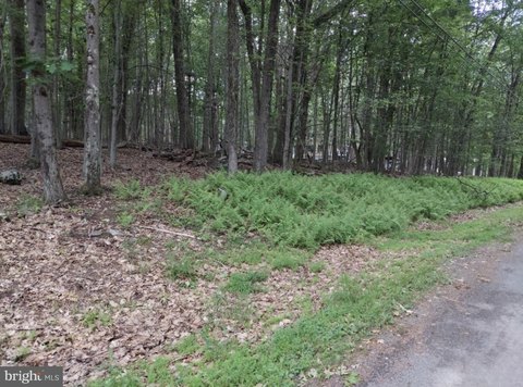 Residential Lot in Hawley, PA