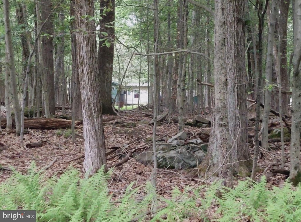 Picture 13