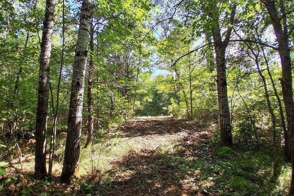 Picture 15