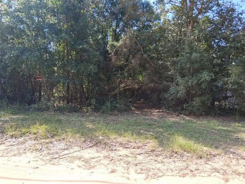 Unrestricted Wooded Lot in Wilmer