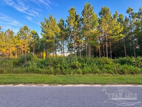 Land, Pace, FL