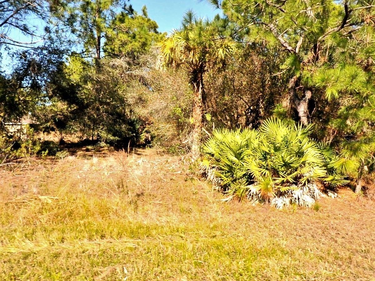 Residential Land in North Port