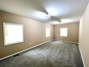 Picture 39