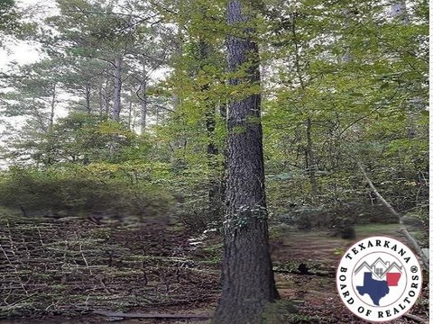 Texarkana Hunting Land For Sale