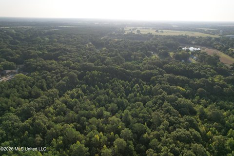 Land, Canton, MS