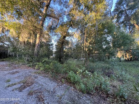 Commercial Lot in DeLand, FL