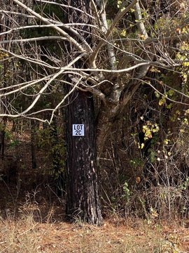 Residential Land in Cabot, AR